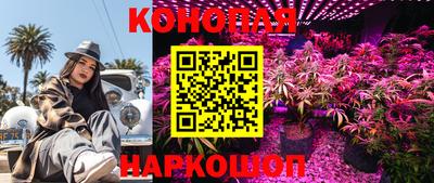 экстази Кингисепп