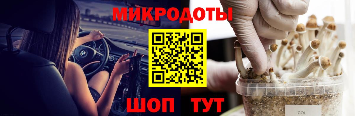 Гусиноозёрск  Галлюциногенные грибы MAGIC MUSHROOMS  Вход с VPN  Псилоцибиновые грибы мицелий 