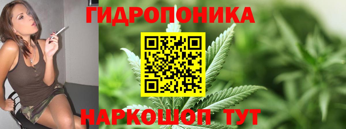 Шишки марихуана тримм  Шишки марихуана планчик  Бошки марихуана Ganja  Вход с VPN  Шишки марихуана VHQ  Гусиноозёрск 